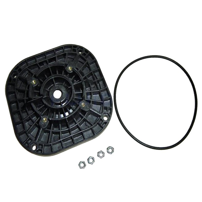 Brida motor bomba Sena Astralpool 4405010418