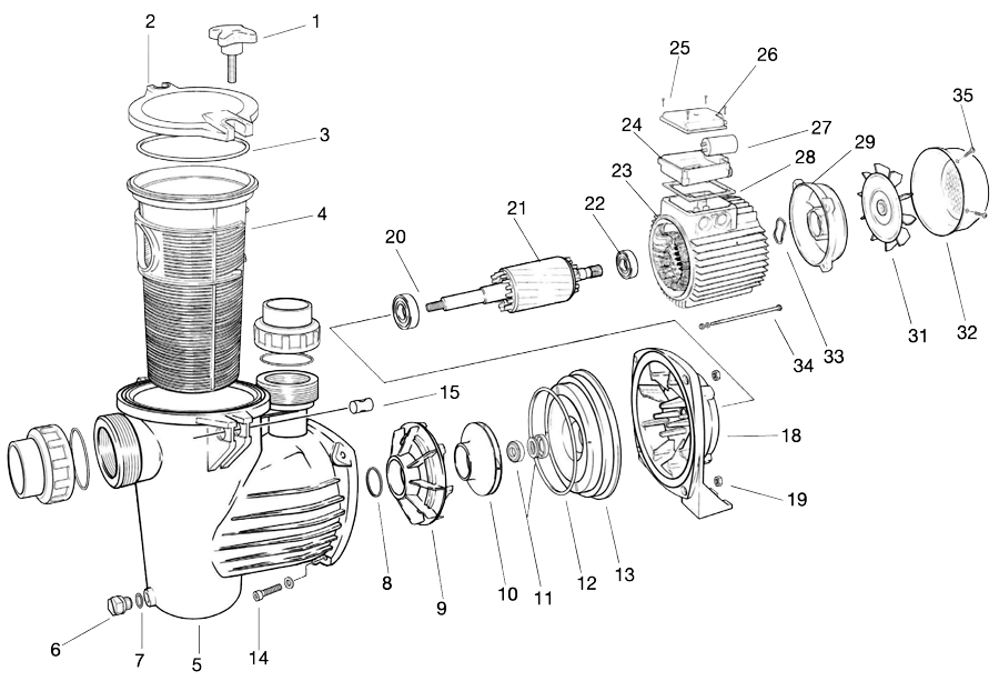 Despiece Bomba para Piscinas Zodiac Bluflo